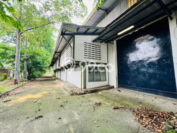 Gudang For Rent di Balaraja, Luas 3798m2m², Jalan Strategis, Lokasi Bagus Gudang For Rent di Balaraja, Luas 3798m2m², Jalan Strategis, Lokasi Bagus