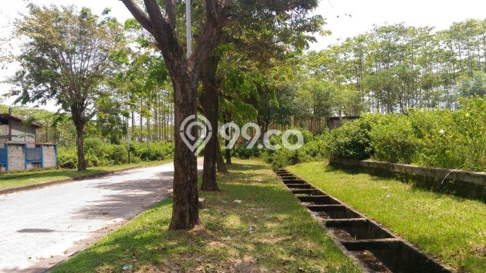 Tanah Premium Kawasan Cikande, Luas 6000m², Akses Cikande, Serang, Serang Tanah Premium Kawasan Cikande, Luas 6000m², Akses Cikande, Serang, Serang