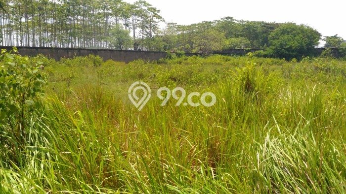 Tanah Premium Kawasan Cikande, Luas 6000m², Akses Cikande, Serang, Serang Tanah Premium Kawasan Cikande, Luas 6000m², Akses Cikande, Serang, Serang