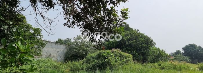 Tanah Kavling untuk Dijual di Jonggol Bogor 16000m2 Tanah Kavling untuk Dijual di Jonggol Bogor 16000m2