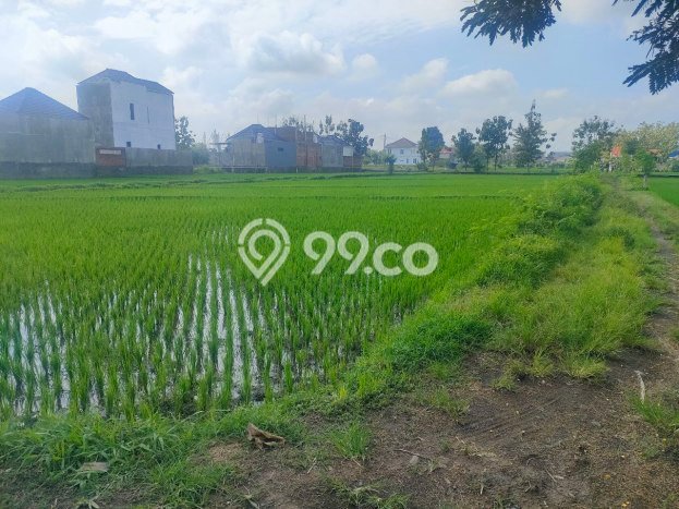 Tanah di Tasikmadu, Karanganyar Luas 2789m2 Dijual Segera Tanah di Tasikmadu, Karanganyar Luas 2789m2 Dijual Segera