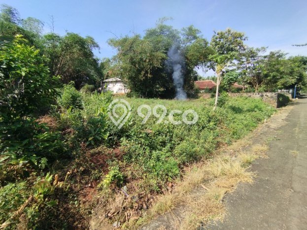 Lahan untuk Dijual di Kalijambe Sragen Luas 998m2 Lahan untuk Dijual di Kalijambe Sragen Luas 998m2