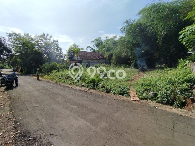 Lahan untuk Dijual di Kalijambe Sragen Luas 998m2 Lahan untuk Dijual di Kalijambe Sragen Luas 998m2
