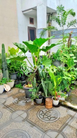Rumah Minimalis Dijual di Kartasura 2 Kamar dengan LT 70m2 Rumah Minimalis Dijual di Kartasura 2 Kamar dengan LT 70m2