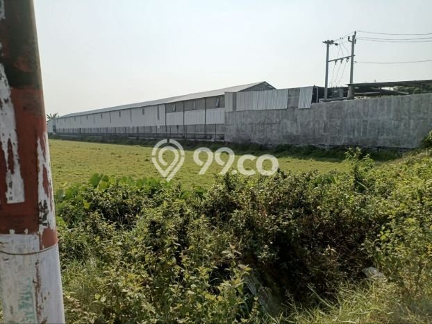 Tanah Kavling Dijual di Kartosuro, Sukoharjo dengan Luas Tanah 3950m2 Tanah Kavling Dijual di Kartosuro, Sukoharjo dengan Luas Tanah 3950m2