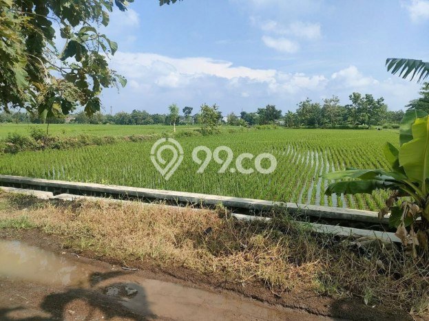 Tanah di Tasikmadu, Karanganyar Luas 2789m2 Dijual Segera Tanah di Tasikmadu, Karanganyar Luas 2789m2 Dijual Segera
