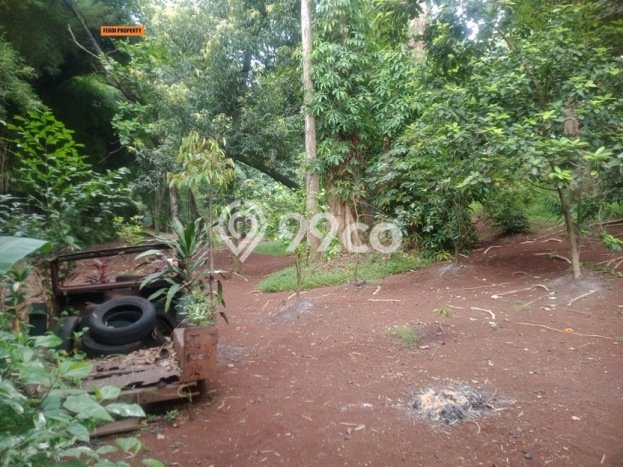 Area Ramai! Komersial Dijual di Gunung Putri untuk Bisnis Luas Bangunan 1095m2 Area Ramai! Komersial Dijual di Gunung Putri untuk Bisnis Luas Bangunan 1095m2