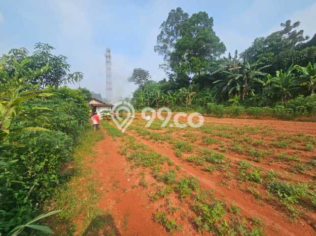Lahan Dijual Lokasi Strategis di Depok dengan Luas 8230m2 Lahan Dijual Lokasi Strategis di Depok dengan Luas 8230m2