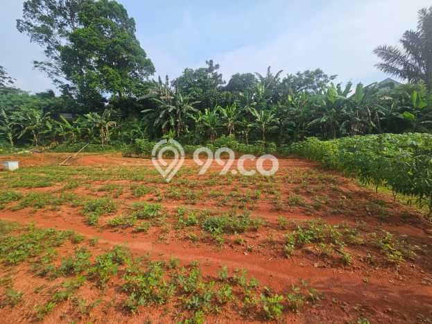 Lahan Dijual Lokasi Strategis di Depok dengan Luas 8230m2 Lahan Dijual Lokasi Strategis di Depok dengan Luas 8230m2