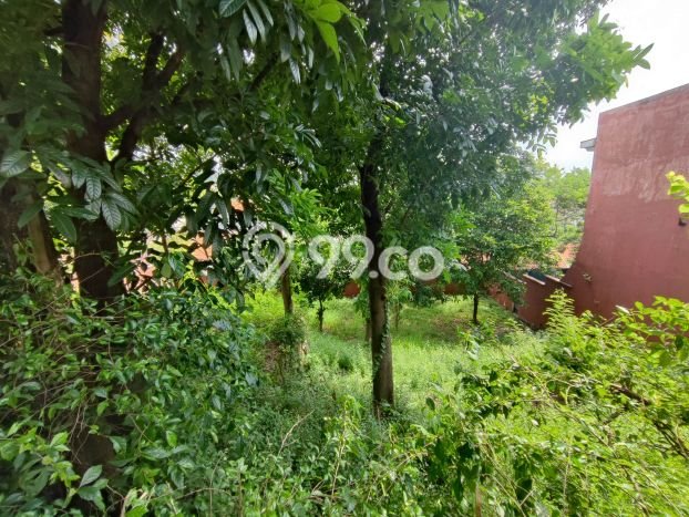 Lahan untuk Dijual di Semarang Barat Semarang Luas 915m2 Lahan untuk Dijual di Semarang Barat Semarang Luas 915m2