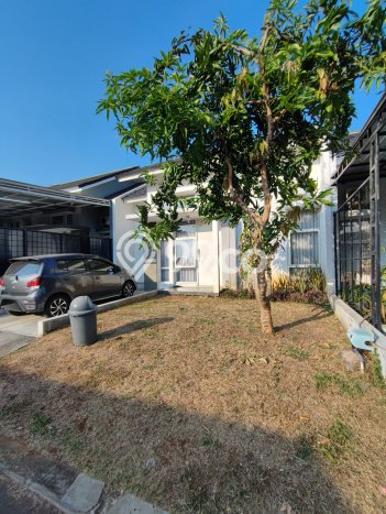 Rumah SHM Cluster Forest Hill Citraland Bsb City Semarang Barat Rumah SHM Cluster Forest Hill Citraland Bsb City Semarang Barat