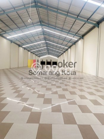 Disewakan Gudang di Semarang Utara Semarang LT 1710m2, LB 1517m2 Disewakan Gudang di Semarang Utara Semarang LT 1710m2, LB 1517m2