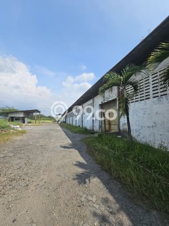 Pabrik Bagus Dijual di Pasar Kemis Tangerang Lokasi Strategis Cocok untuk Kembangkan Bisnis Pabrik Bagus Dijual di Pasar Kemis Tangerang Lokasi Strategis Cocok untuk Kembangkan Bisnis