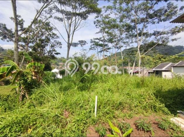 Tanah Dijual Area Strategis di Bandung Barat Bandung 3100m2 Tanah Dijual Area Strategis di Bandung Barat Bandung 3100m2