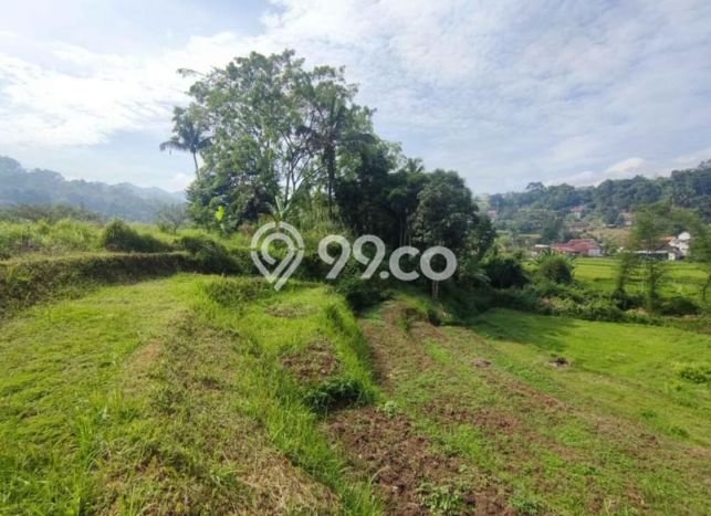 Tanah Dijual Area Strategis di Bandung Barat Bandung 3100m2 Tanah Dijual Area Strategis di Bandung Barat Bandung 3100m2