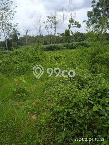 Lahan Kosong Dijual di Bogor dengan Area 20000m2 Lahan Kosong Dijual di Bogor dengan Area 20000m2