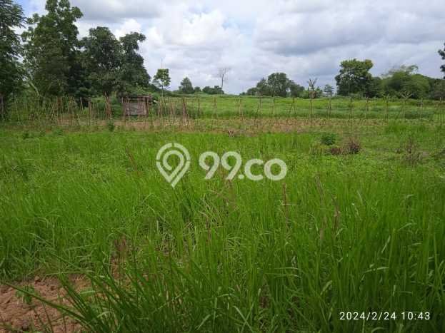 Lahan Kosong Dijual di Bogor dengan Area 20000m2 Lahan Kosong Dijual di Bogor dengan Area 20000m2