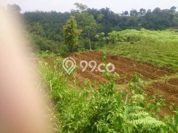 Tanah untuk Dijual di Bogor Barat Bogor Luas 35m2 Tanah untuk Dijual di Bogor Barat Bogor Luas 35m2