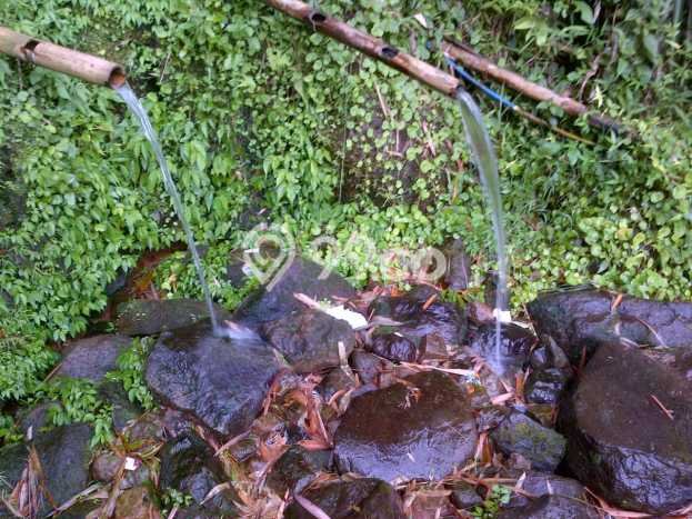 Tanah untuk Dijual di Bogor Barat Bogor Luas 35m2 Tanah untuk Dijual di Bogor Barat Bogor Luas 35m2