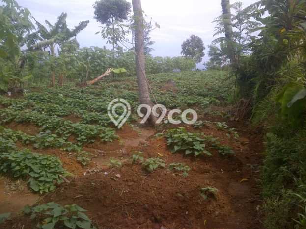 Tanah untuk Dijual di Bogor Barat Bogor Luas 35m2 Tanah untuk Dijual di Bogor Barat Bogor Luas 35m2