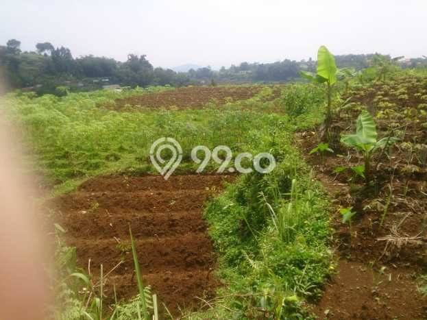 Tanah untuk Dijual di Bogor Barat Bogor Luas 35m2 Tanah untuk Dijual di Bogor Barat Bogor Luas 35m2