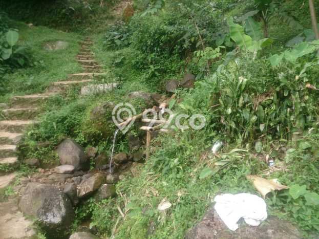 Tanah untuk Dijual di Bogor Barat Bogor Luas 35m2 Tanah untuk Dijual di Bogor Barat Bogor Luas 35m2