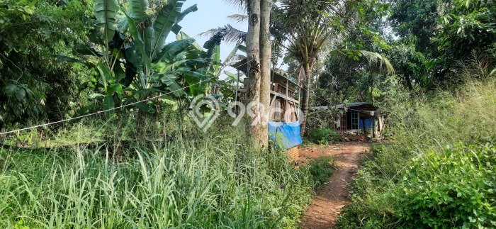 Tanah Kavling untuk Dijual di Pamulang Tangerang Selatan 7000m2 Tanah Kavling untuk Dijual di Pamulang Tangerang Selatan 7000m2