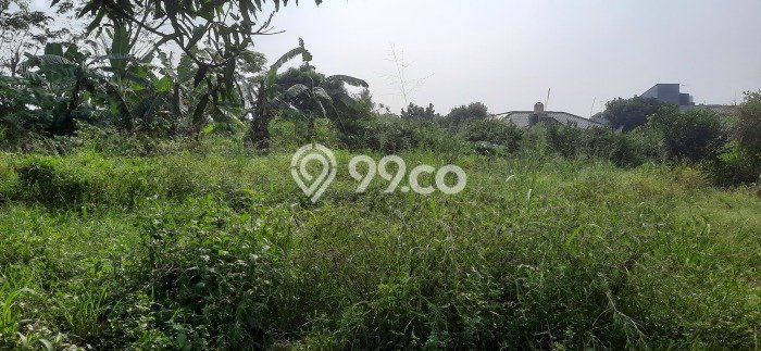 Tanah Kavling untuk Dijual di Pamulang Tangerang Selatan 7000m2 Tanah Kavling untuk Dijual di Pamulang Tangerang Selatan 7000m2