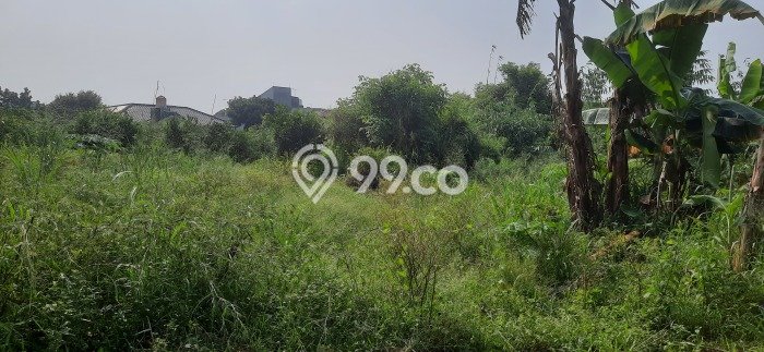 Tanah Kavling untuk Dijual di Pamulang Tangerang Selatan 7000m2 Tanah Kavling untuk Dijual di Pamulang Tangerang Selatan 7000m2