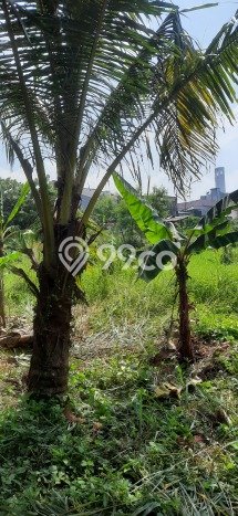 Tanah Kavling untuk Dijual di Pamulang Tangerang Selatan 7000m2 Tanah Kavling untuk Dijual di Pamulang Tangerang Selatan 7000m2