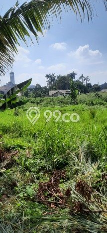 Tanah Kavling untuk Dijual di Pamulang Tangerang Selatan 7000m2 Tanah Kavling untuk Dijual di Pamulang Tangerang Selatan 7000m2