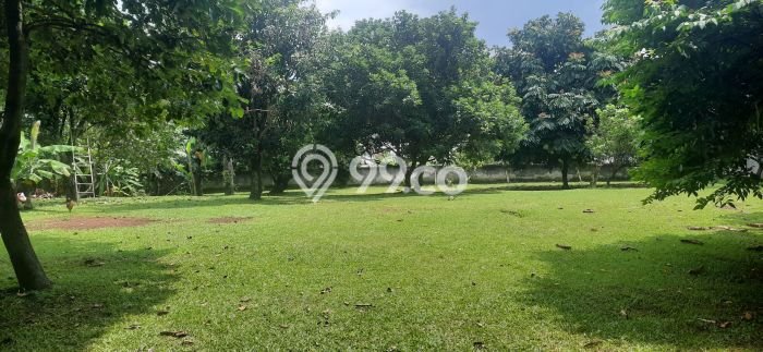 Tanah Investasi Dijual di Tangerang Selatan Punya Luas 3000m2 Tanah Investasi Dijual di Tangerang Selatan Punya Luas 3000m2