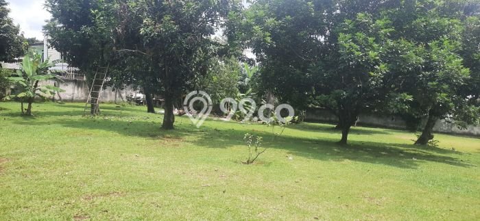 Tanah Investasi Dijual di Tangerang Selatan Punya Luas 3000m2 Tanah Investasi Dijual di Tangerang Selatan Punya Luas 3000m2