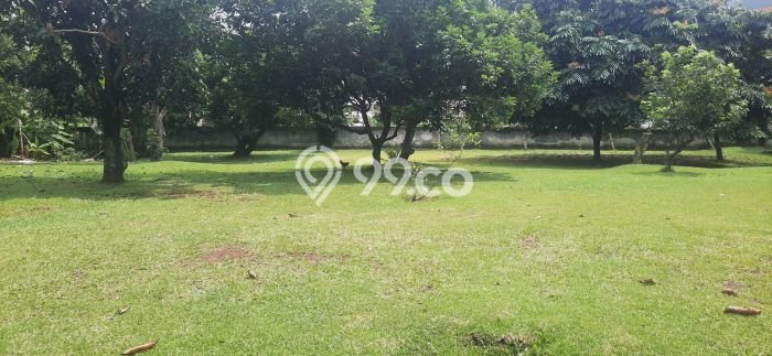 Tanah Investasi Dijual di Tangerang Selatan Punya Luas 3000m2 Tanah Investasi Dijual di Tangerang Selatan Punya Luas 3000m2