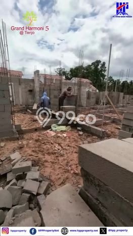 Rumah Sederhana Dijual Lokasi Tenjo 2 Kamar dengan LT 60m2 Rumah Sederhana Dijual Lokasi Tenjo 2 Kamar dengan LT 60m2