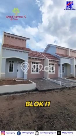 Dijual Rumah Murah di Tenjo Bogor Harga Rp 320 Juta LT 60m2 Dijual Rumah Murah di Tenjo Bogor Harga Rp 320 Juta LT 60m2