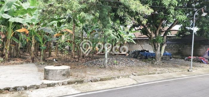 Tanah Kavling Dijual di Sleman dengan Spesifikasi 346m2 Tanah Kavling Dijual di Sleman dengan Spesifikasi 346m2