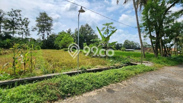 Tanah Dijual Lokasi Ngaglik, Sleman dengan Luas Tanah 699m2 dan Status SHM Tanah Dijual Lokasi Ngaglik, Sleman dengan Luas Tanah 699m2 dan Status SHM