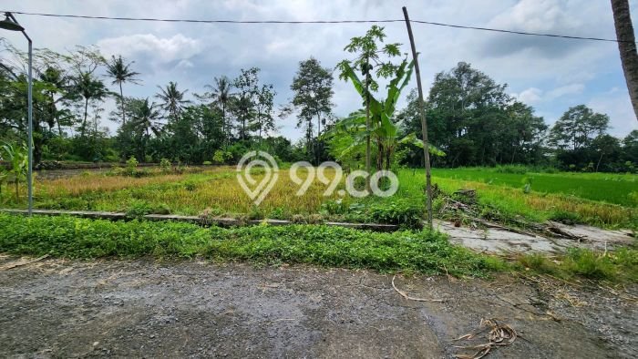 Tanah Dijual Lokasi Ngaglik, Sleman dengan Luas Tanah 699m2 dan Status SHM Tanah Dijual Lokasi Ngaglik, Sleman dengan Luas Tanah 699m2 dan Status SHM