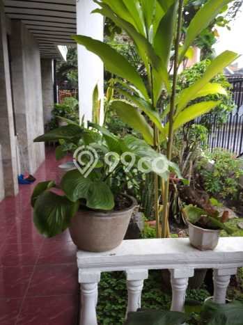 Rumah Luxury Modern Tanpa Renovasi di Cikutra Bandung Rumah Luxury Modern Tanpa Renovasi di Cikutra Bandung