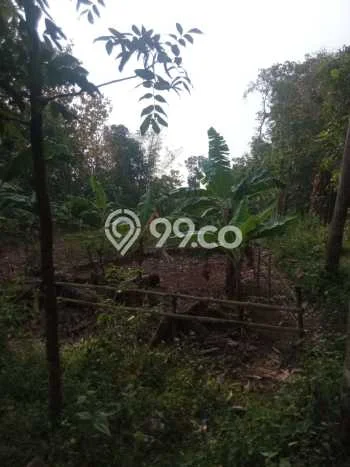 Kavling Tanah untuk Dijual di Majalengka Kota, Majalengka, Luas 1200m2 Kavling Tanah untuk Dijual di Majalengka Kota, Majalengka, Luas 1200m2