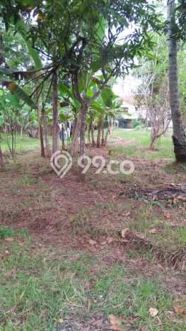 Dijual Rumah Premium dengan Fasilitas Sekitar Lengkap di Bayan, Purworejo Dijual Rumah Premium dengan Fasilitas Sekitar Lengkap di Bayan, Purworejo