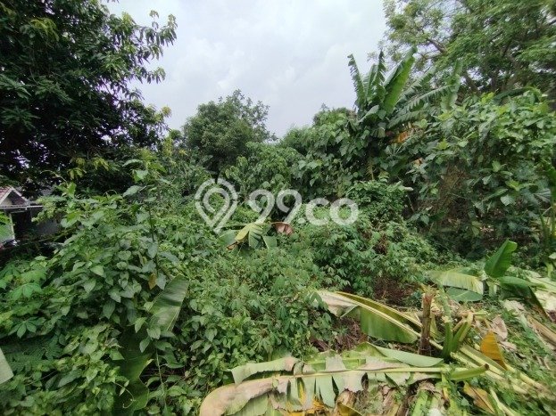 Tanah di Pesanggrahan, Jakarta Selatan Luas 1000m2 Dijual Segera Tanah di Pesanggrahan, Jakarta Selatan Luas 1000m2 Dijual Segera