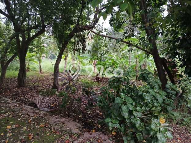 Kavling Tanah untuk Dijual di Serua, Tangerang, Luas 8000m2 Kavling Tanah untuk Dijual di Serua, Tangerang, Luas 8000m2