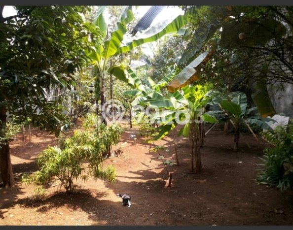 Dijual Tanah Lokasi Sektor 5 - Bintaro, Tangerang Selatan Seluas 350m2 Dijual Tanah Lokasi Sektor 5 - Bintaro, Tangerang Selatan Seluas 350m2