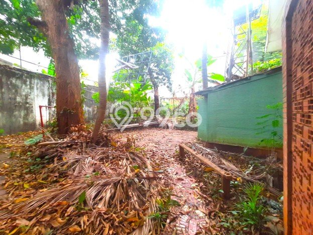 Dijual Rumah Luas Megah Dengan View Cantik di Tomang, Jakarta Barat Dijual Rumah Luas Megah Dengan View Cantik di Tomang, Jakarta Barat