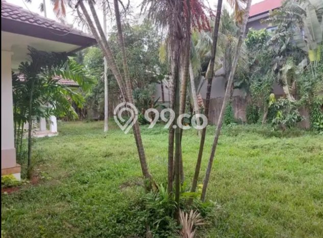 Rumah Luxury Modern Siap Huni di Kemang Jakarta Selatan Rumah Luxury Modern Siap Huni di Kemang Jakarta Selatan