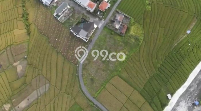 Tanah Dijual di Badung Seluas 3000m2 Strategis Tanah Dijual di Badung Seluas 3000m2 Strategis