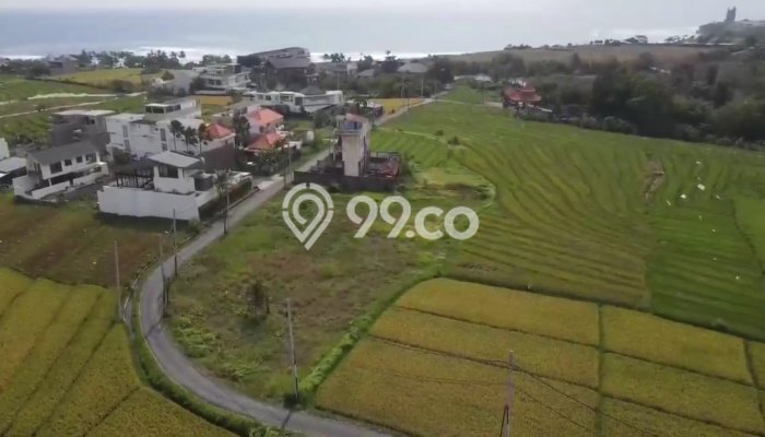 Tanah Dijual di Badung Seluas 3000m2 Strategis Tanah Dijual di Badung Seluas 3000m2 Strategis