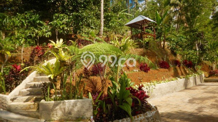 Kavling Tanah di Selemadeg Dijual Luas 19200m2 Legalitas SHM Kavling Tanah di Selemadeg Dijual Luas 19200m2 Legalitas SHM